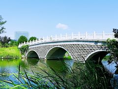 -大兴滨河森林公园