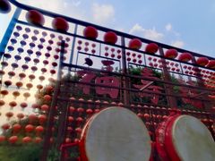 -合肥滨湖国家森林公园