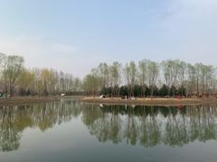 -东郊湿地公园