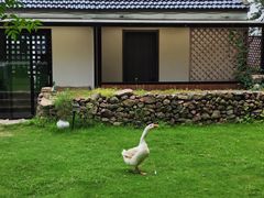 -巢湖姥山岛