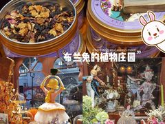 -布兰兔的植物庄园(杭州南宋御街店)