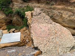 -大连金石滩滨海国家地质公园