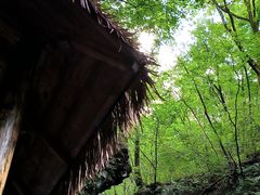 -关门山森林公园