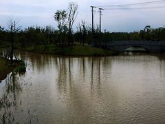 -上海长兴岛郊野公园