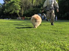 -崀山风景名胜区