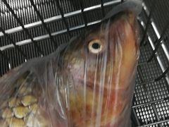 -北国超市(益元店)