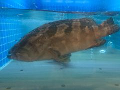 -稷泽·海丽宾雅温泉度假酒店