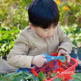 草莓季🍓遛娃圣地🍓