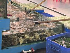 -考记泥焗鸡农庄·海鲜(北洛秘境店)