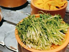 -龍歌自助小火锅(崂山丽达店)