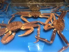 -百富源·海鲜辽菜(和平北大街店)