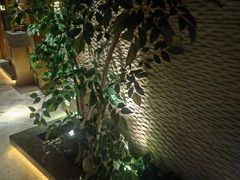 -浅深(北京北四环精品店)
