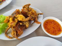 -真浪花园海鲜餐馆