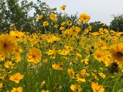 -青岛银沙滩