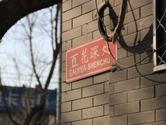 -百花深处胡同