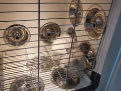 -佳雯宠物医院(金华南路分院)