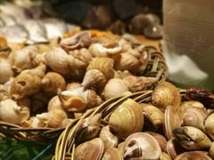 -马哥孛罗咖啡厅·Cafe Marco (厦门马哥孛罗东方大酒店)