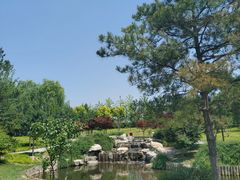 -西海子公园