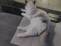 -零纪元VR体验馆·桌游(黄浦店)