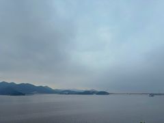 -望湖烤鱼