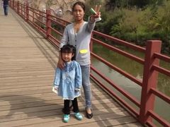 -世界恐龙谷景区