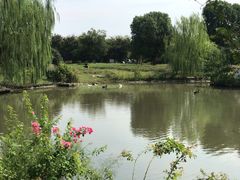 -鹅湖玫瑰文化园