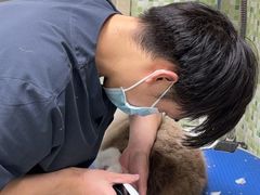 -瑞鹏宠物医院·微创内窥镜·骨外科·牙科(翠竹分院)