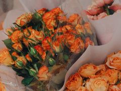 -循礼门鲜花花市(武汉循礼门店)