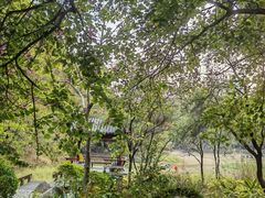 -深圳国际园林花卉博览园