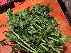 茼蒿-周小明火锅(黑金冠社区店)