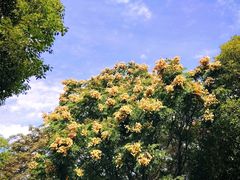 -苏州河梦清园环保主题公园