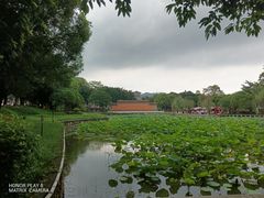 -滴水岩森林公园