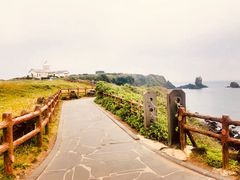 -涉地可支