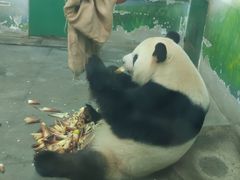 -无锡动物园·太湖欢乐园