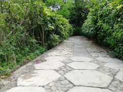 -南诏风情岛