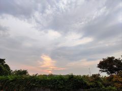 -上海市保健医疗中心