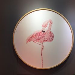 -Priscilla皮肤管理中心