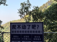-桂林古东瀑布景区