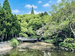 -叶家花园