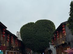 -三坊七巷历史文化街区