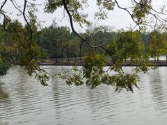 -大湾区中央湿地公园