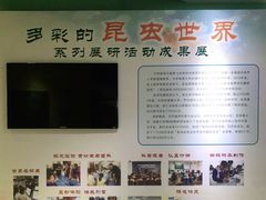 -上海昆虫博物馆