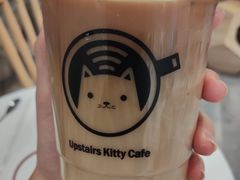-楼上猫咖(罗湖店)
