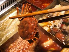 -海底捞火锅鲜切牛肉主题店(长寿路店)