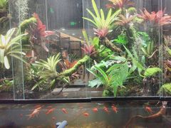 -扶摇湘宴·烤鸭·湘粤宴(中关村·北大店)