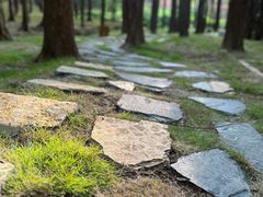 -山王坪喀斯特国家生态公园