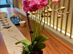 -小茶闲舍·观景商务茶馆(广州塔店)
