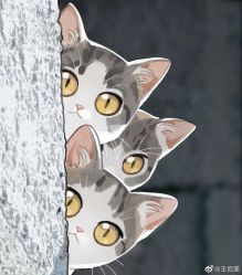 -亲伊通乳产后修复中心(航空港店)