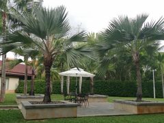 -三亚海棠湾万丽度假酒店