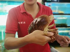 -琼大师东方烤乳猪(亚特兰蒂斯店)